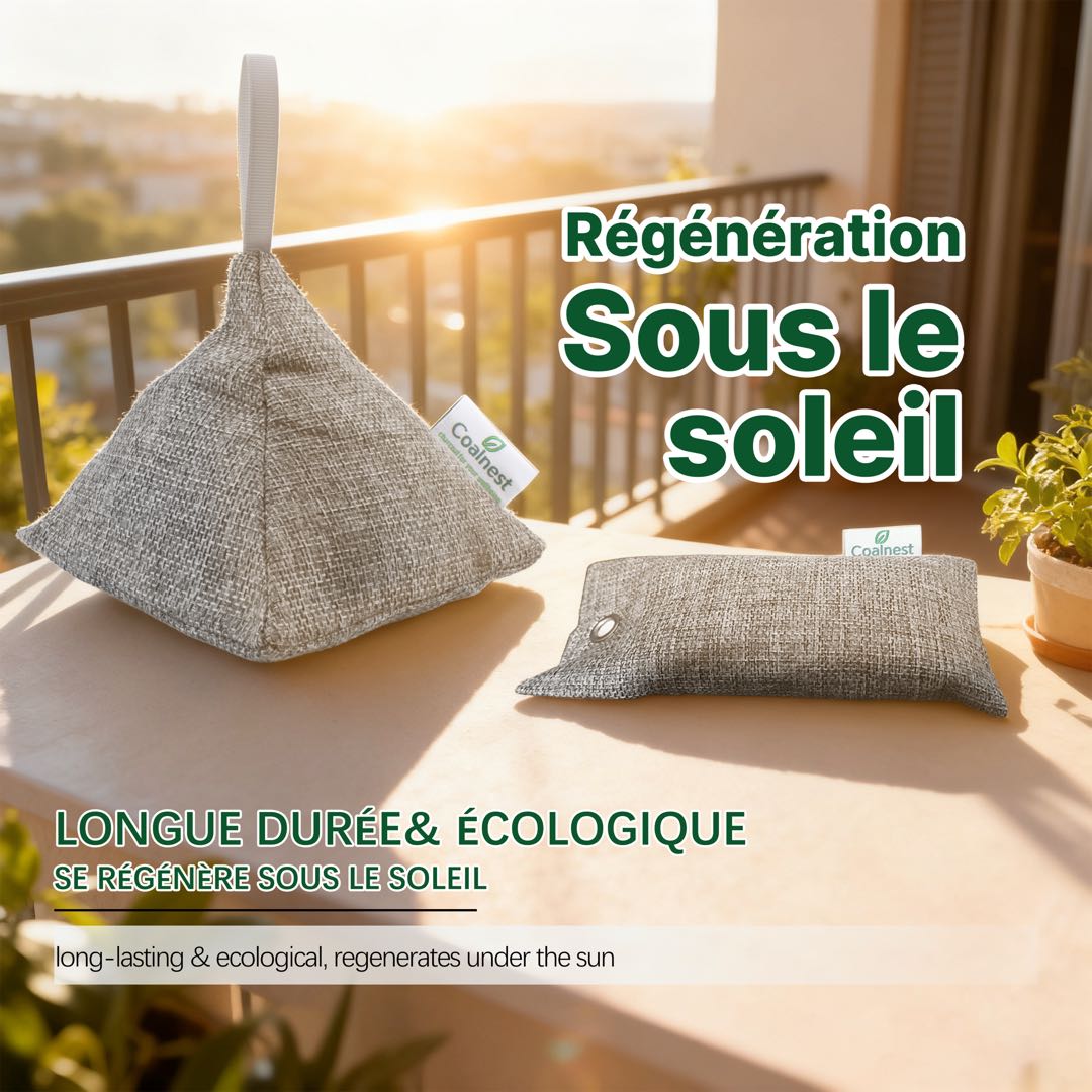 coalnest régénration sous le soleil